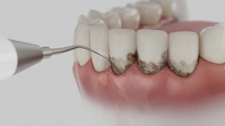 Reliable Dental contractor in Vancleave, MS by Dentist Open Now